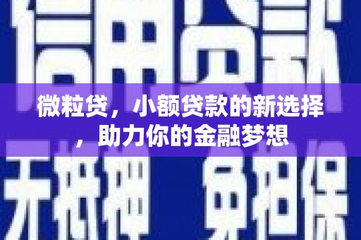 宝应微粒贷，小额贷款的新选择，助力你的金融梦想