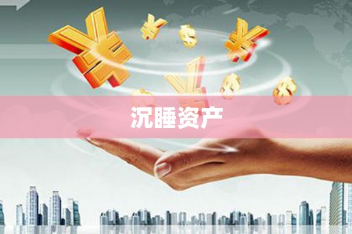 巴彦沉睡资产