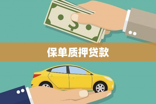 右玉保单质押贷款