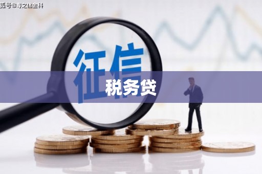 右玉税务贷