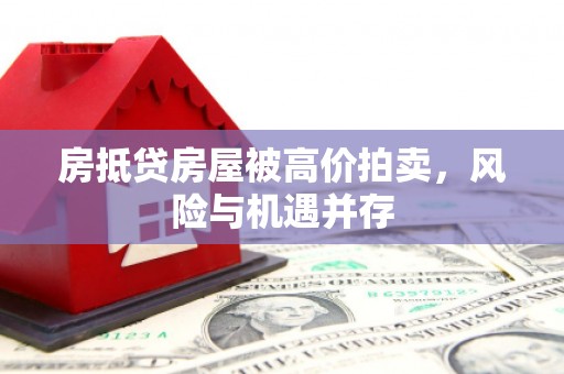 学甲房抵贷房屋被高价拍卖，风险与机遇并存