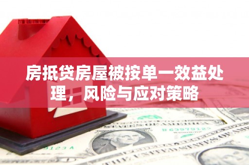 合水房抵贷房屋被按单一效益处理，风险与应对策略