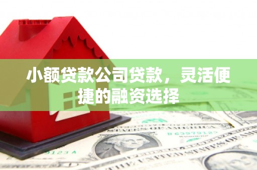 南木林小额贷款公司贷款，灵活便捷的融资选择
