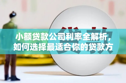 朔城小额贷款公司利率全解析，如何选择最适合你的贷款方案？