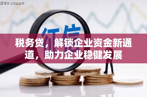 朔城税务贷，解锁企业资金新通道，助力企业稳健发展