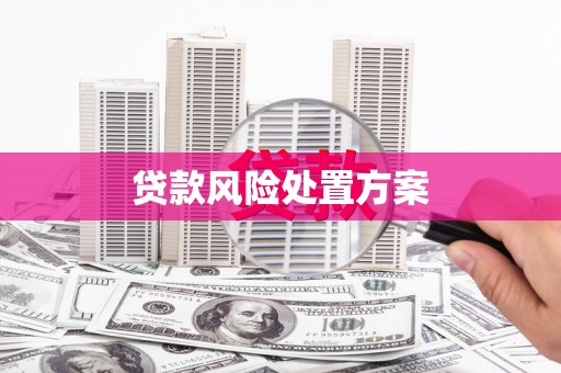 乌当贷款风险处置方案