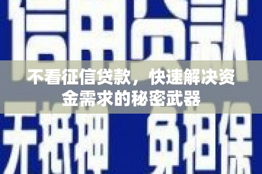 石楼不看征信贷款，快速解决资金需求的秘密武器