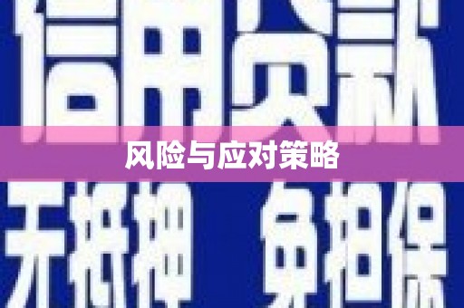 安仁风险与应对策略