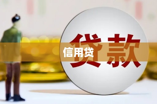 双台子信用贷