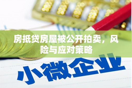 大余房抵贷房屋被公开拍卖，风险与应对策略