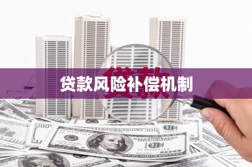 望江贷款风险补偿机制