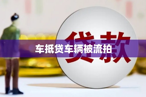 望江车抵贷车辆被流拍