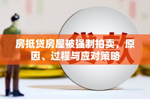 狮潭房抵贷房屋被强制拍卖，原因、过程与应对策略