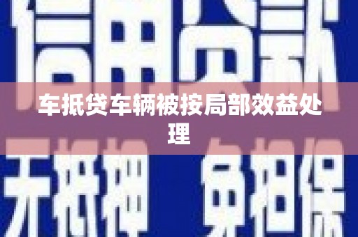 保山车抵贷车辆被按局部效益处理