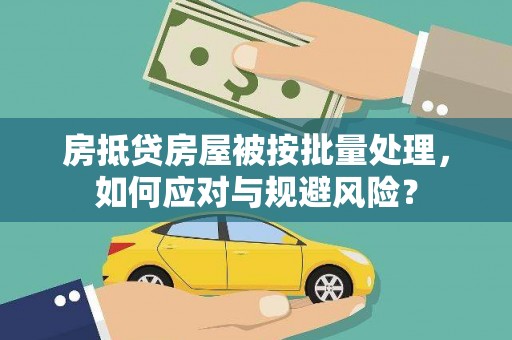 丰县房抵贷房屋被按批量处理，如何应对与规避风险？