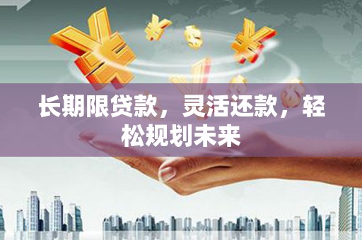 阿里长期限贷款，灵活还款，轻松规划未来