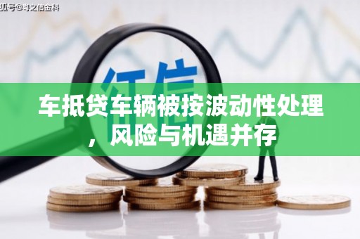 阿里车抵贷车辆被按波动性处理，风险与机遇并存