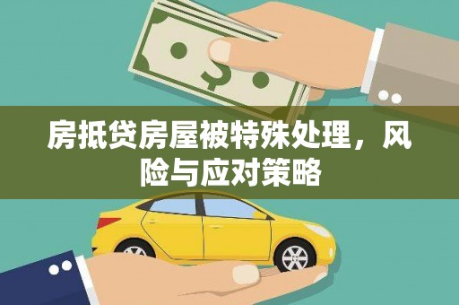中区房抵贷房屋被特殊处理，风险与应对策略