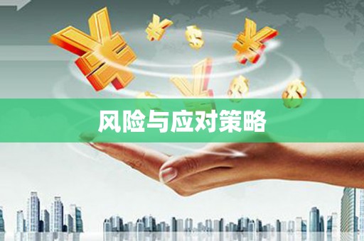 台儿庄风险与应对策略