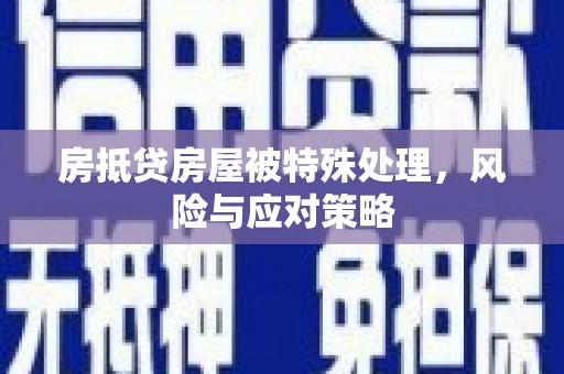 盘山房抵贷房屋被特殊处理，风险与应对策略