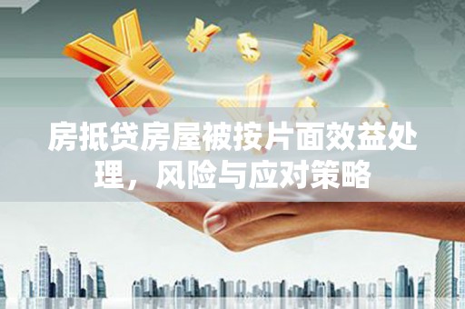 金牛房抵贷房屋被按片面效益处理，风险与应对策略