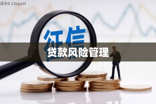 召陵贷款风险管理