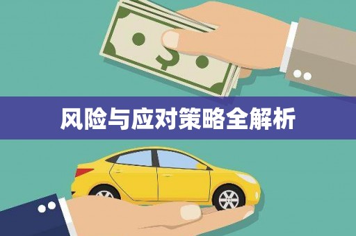 墨玉风险与应对策略全解析
