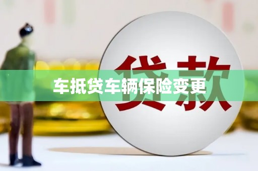 卓溪车抵贷车辆保险变更