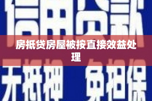 固始房抵贷房屋被按直接效益处理