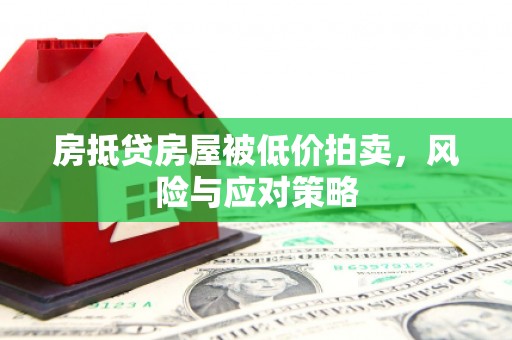 西藏房抵贷房屋被低价拍卖，风险与应对策略