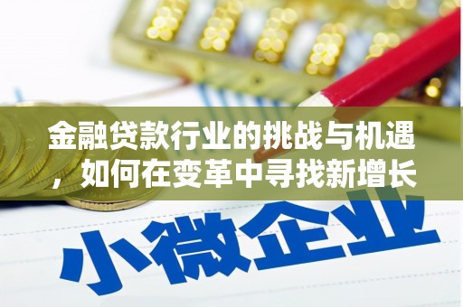 金溪金融贷款行业的挑战与机遇，如何在变革中寻找新增长点