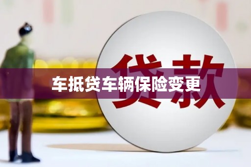 龙湾车抵贷车辆保险变更