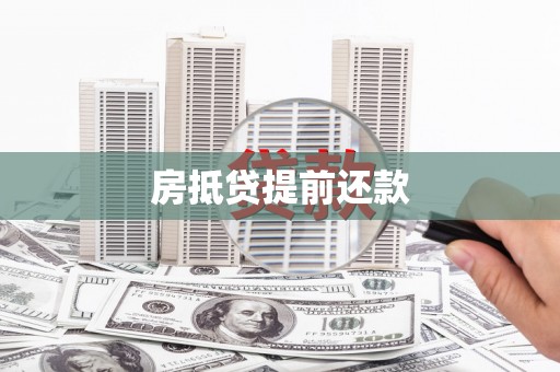 龙湾房抵贷提前还款