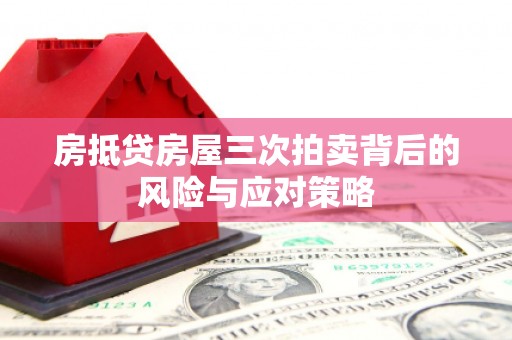 古浪房抵贷房屋三次拍卖背后的风险与应对策略