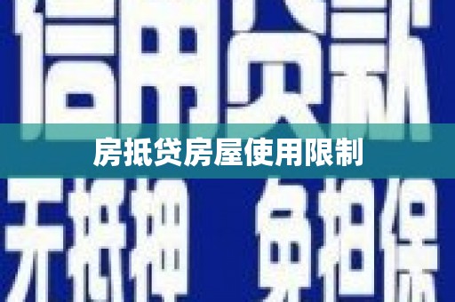 大甲房抵贷房屋使用限制