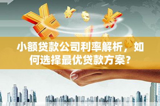 永善小额贷款公司利率解析，如何选择最优贷款方案？