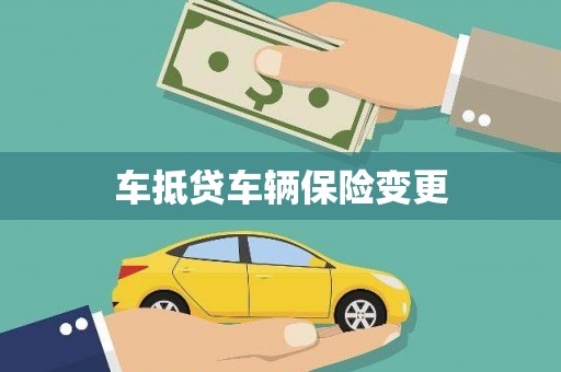 永善车抵贷车辆保险变更