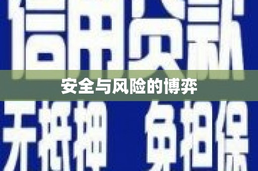 大甲安全与风险的博弈