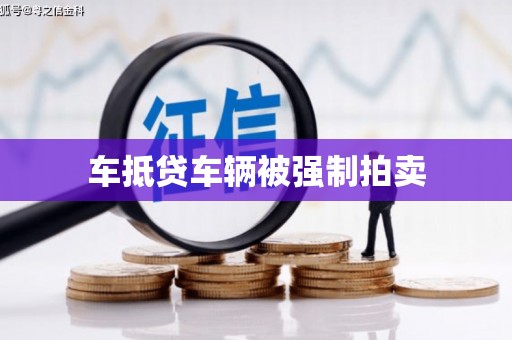 仑背车抵贷车辆被强制拍卖