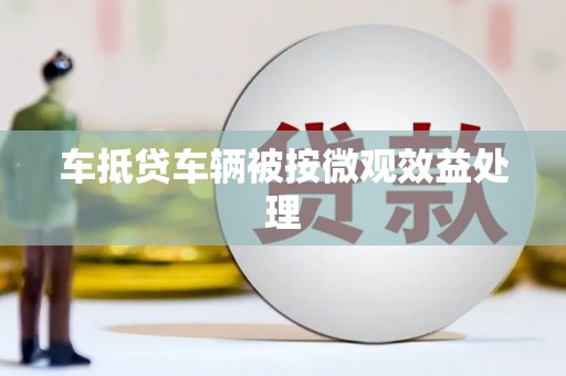 麻栗坡车抵贷车辆被按微观效益处理