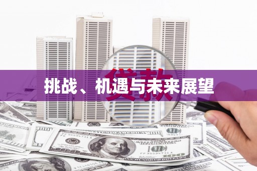 黎平挑战、机遇与未来展望