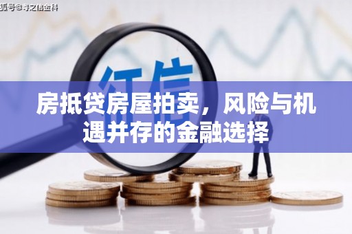 大甲房抵贷房屋拍卖，风险与机遇并存的金融选择