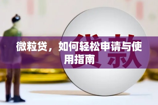 阜康微粒贷，如何轻松申请与使用指南