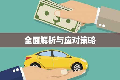 阜康全面解析与应对策略
