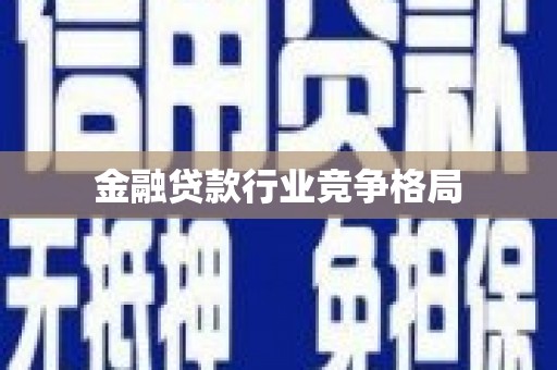 秀水金融贷款行业竞争格局