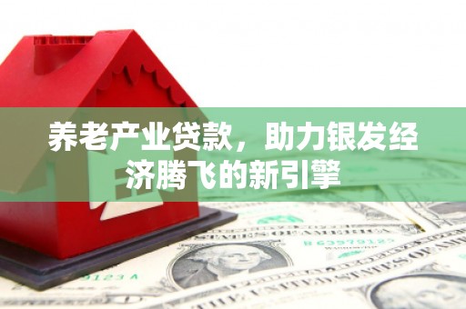 阜康养老产业贷款，助力银发经济腾飞的新引擎