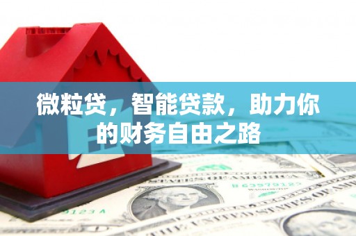 左贡微粒贷，智能贷款，助力你的财务自由之路