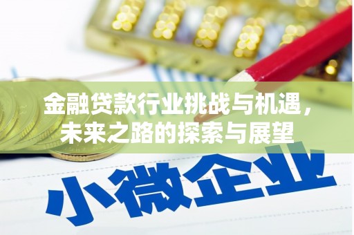 凤岗金融贷款行业挑战与机遇，未来之路的探索与展望