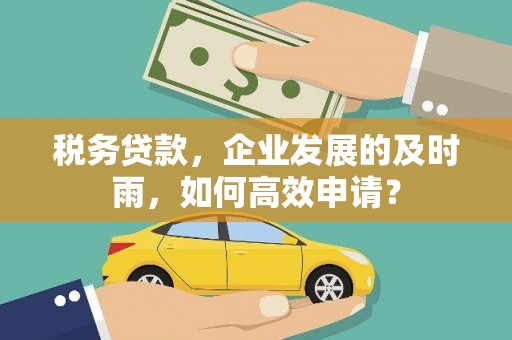 太仆寺旗税务贷款，企业发展的及时雨，如何高效申请？