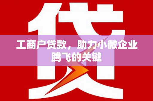 新疆工商户贷款，助力小微企业腾飞的关键